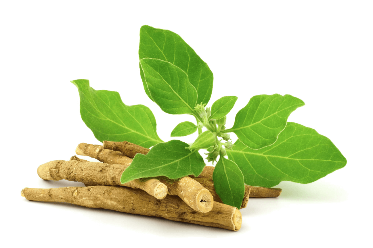 Ashwagandha 